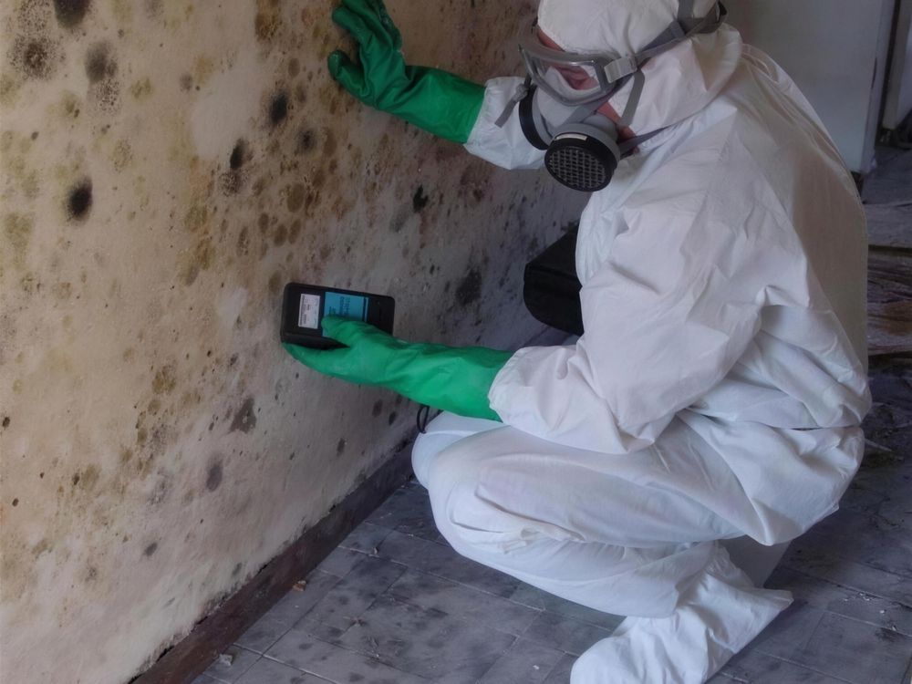 Technician in protective suit testing mold on a wall